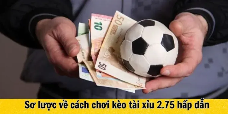 Kèo Chấp 2 3/4 Tại 7M Cơ Hội Vàng Chinh Phục Chiến Thắng Cho Mọi Người