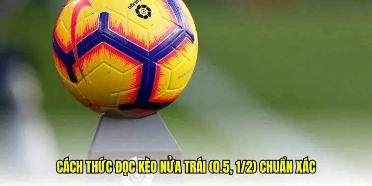 Chiến Lược Đỉnh Cao Chinh Phục Kèo Chấp 0.5 Tại 7M Cho Mọi Cược Thủ