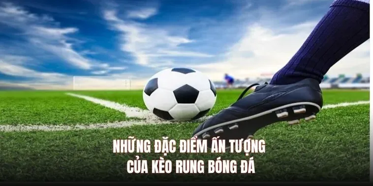 Kinh Nghiệm Đặt Kèo Rung Trong Bóng Đá Tại 7M Cho Các Cược Thủ Chuyên Nghiệp